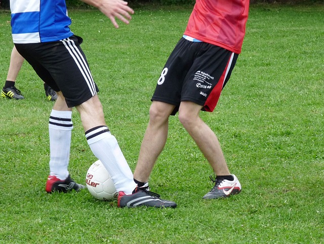 不可忽視的 不可忽視的