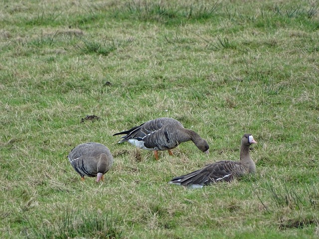 理解比赛的 理解比赛的