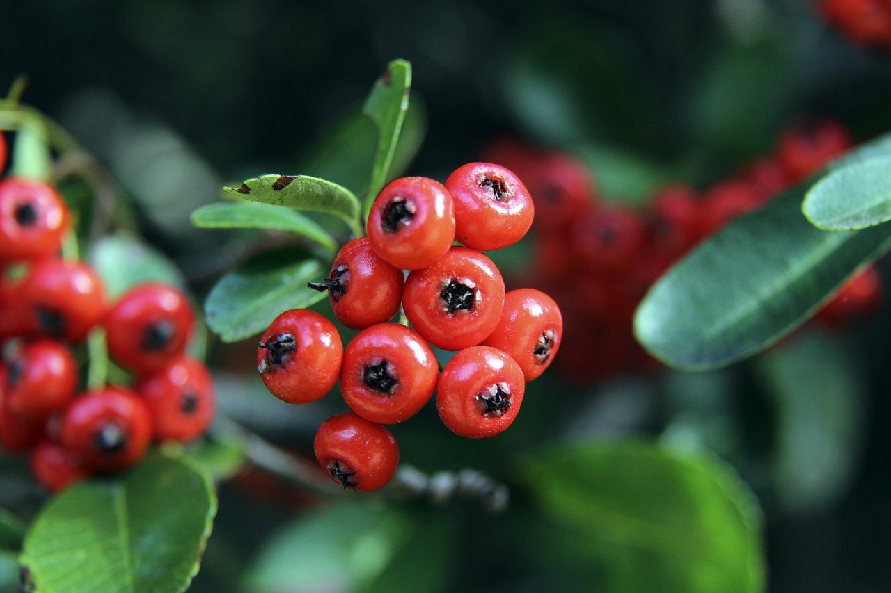 的强大实力 的强大实力