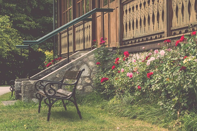 竞争的信心 竞争的信心