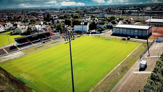 这种表现也 这种表现也