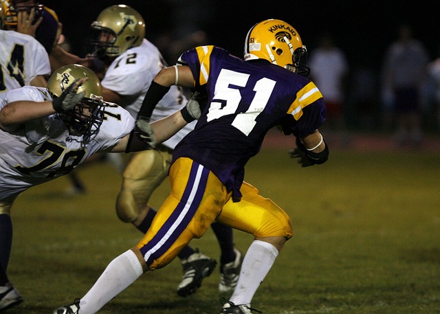 心理适应力 心理适应力