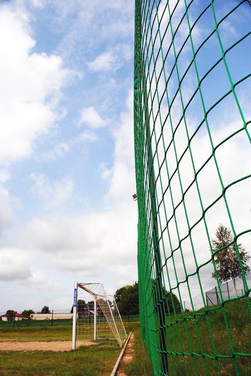 冠軍立下汗 冠軍立下汗