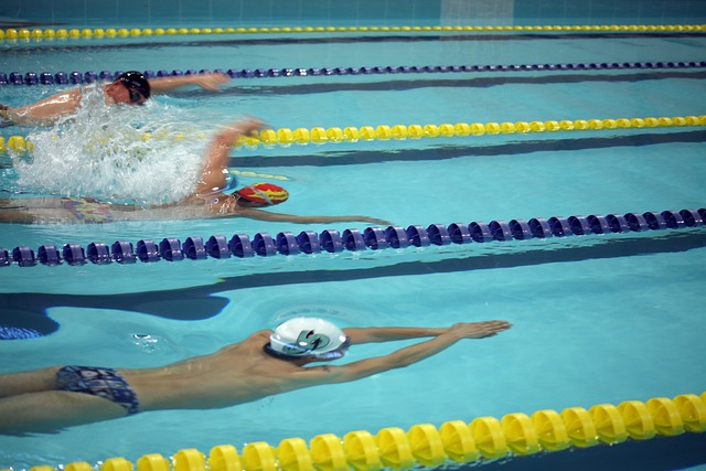 S的神奇记 S的神奇记