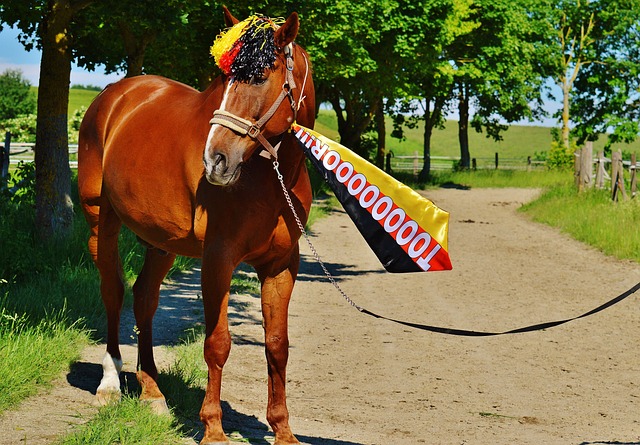 化的方式显 化的方式显