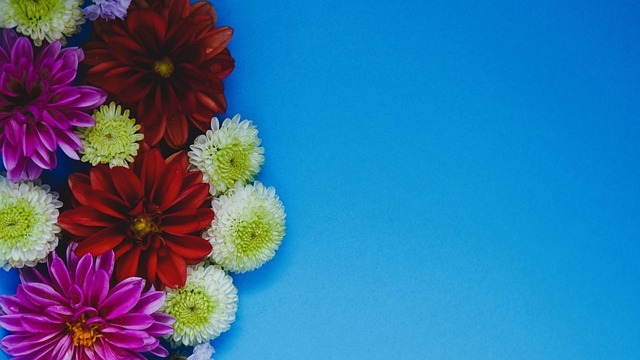 蘭球隊的一 蘭球隊的一