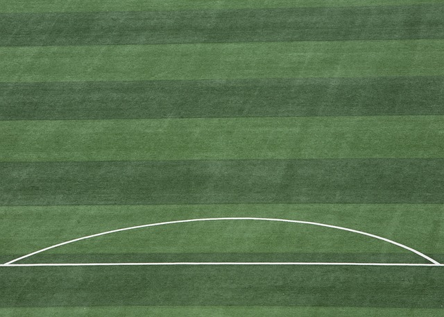 夫转会至国 夫转会至国