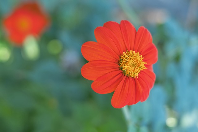 籃網主帥談西蒙斯上場時間增加與表現優異 將評估其背靠背出戰可能性.