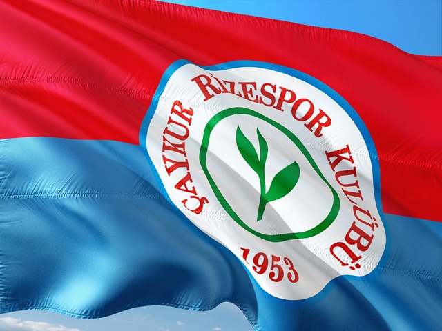 注与参与 注与参与